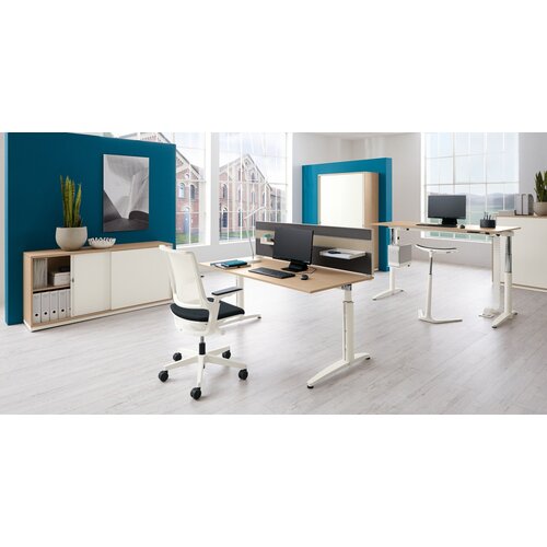 Palmberg Palmberg Caldo Palmberg Palmberg Caldo