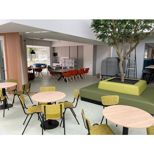 VSO Thriantaschool